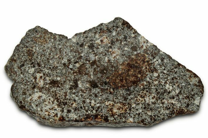 Chondrite Meteorite Section ( g) - NWA #347098